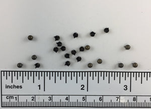 1000pcs pearl Brass Nailheads Round