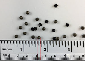 1000pcs 107 Brass Nailheads Round