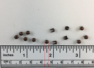 1000pcs 107 Brass Nailheads Round