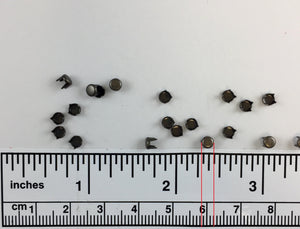 1000pcs Flat Brass Nailheads Round