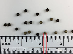 1000pcs pearl Brass Nailheads Round
