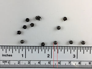 1000pcs pearl Brass Nailheads Round