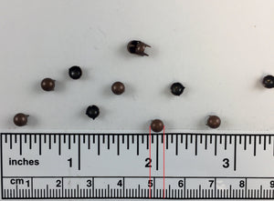 1000pcs pearl Brass Nailheads Round