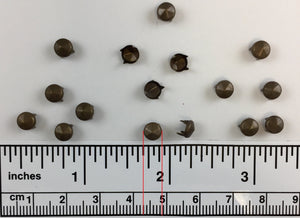 1000pcs 107 Brass Nailheads Round